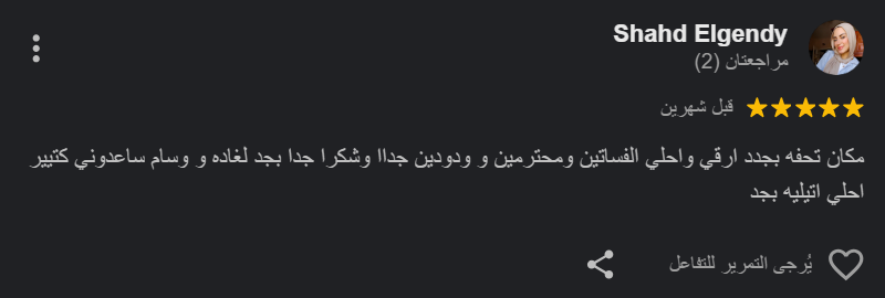 Google Review 8